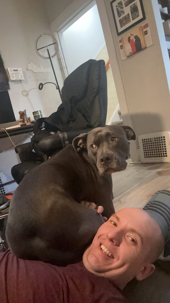 A big grey pit bull leaning on the floor next to us