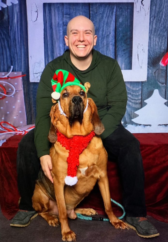Holiday photo with our bloodhound in an elf hat